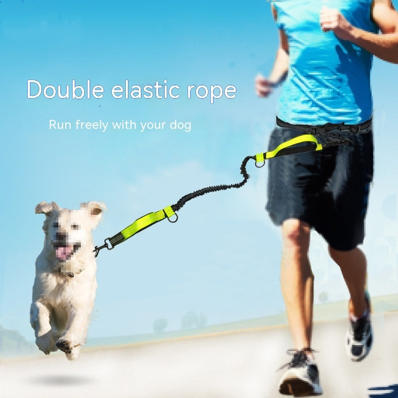 Pet Accessories